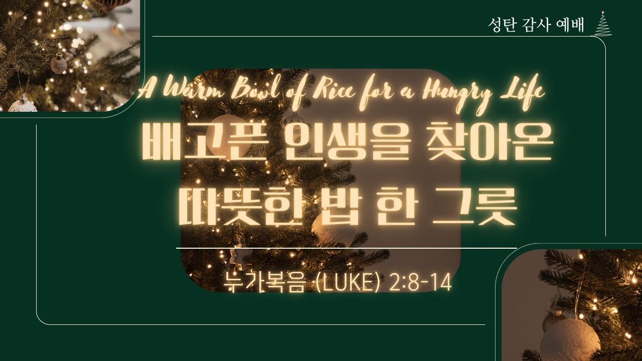 배고픈 인생을 찾아온 따뜻한 밥 한 그릇 (A Warm Bowl of Rice for a Hungry Life)