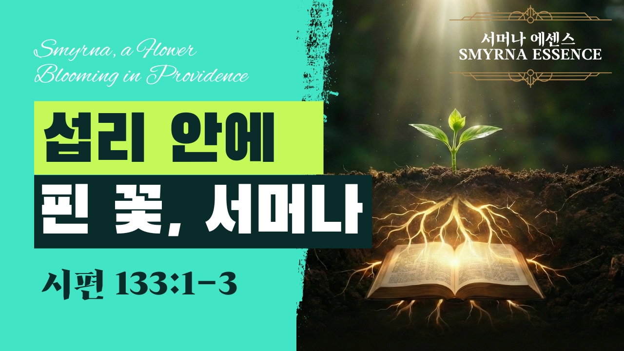 만남은 우연이 아닙니다 Our Meeting is Not a Coincidence | 시편 133:1-32